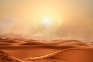 金色沙漠烈日当空图片