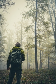 背包客迷雾森林探险图片