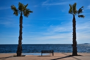 蓝天白云大海棕榈树风景图片