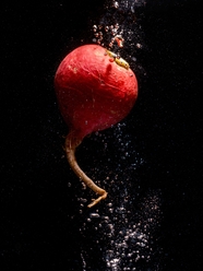 红色樱桃萝卜动感摄影图片