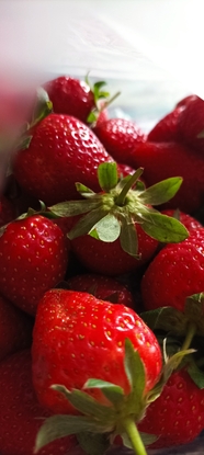 红色新鲜有机草莓图片