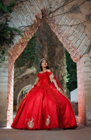 亚洲美女红色蓬蓬裙婚纱写真图片