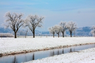 冬季雪后美景图片
