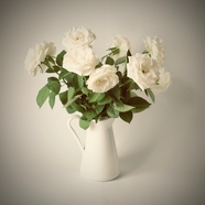 白色玫瑰花插花图片