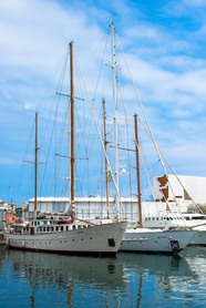 港口码头白色游艇图片