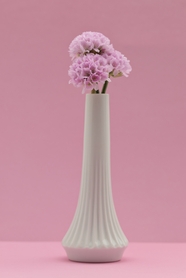 白色瓷器花瓶粉色插花图片