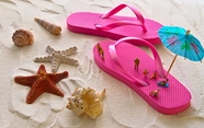 夏日沙滩海星贝壳拖鞋图片