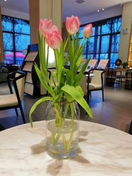 餐厅餐桌粉色郁金香插花图片