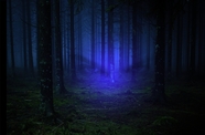午夜森林蓝色极光摄影图片