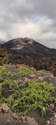 拉帕尔马丘陵火山口图片