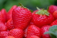 红色新鲜大草莓图片