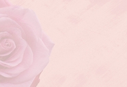 淡雅玫瑰花背景图片素材