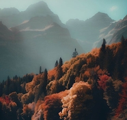 秋天深山老林意境摄影图片