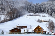 冬季雪山雪松雪屋雪景摄影图片