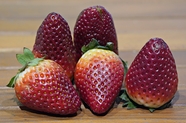 健康有机红色牛奶草莓摄影图片