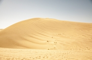 黄色沙漠风光摄影图片