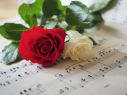 置放在乐谱上的两枝玫瑰花图片