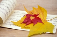 音乐乐谱和秋天落叶图片