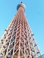 蓝色天空东京天空树建筑摄影图片