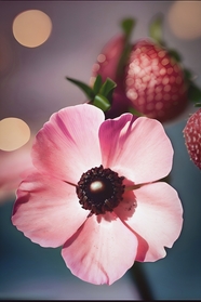 挂在枝头的粉色花朵摄影图片