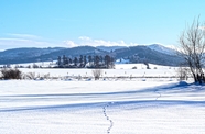 冬季原野一片白茫茫雪景摄影图片