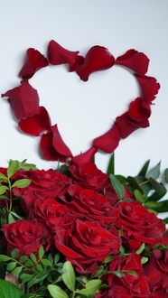 摆成爱心的红色玫瑰花束摄影图片