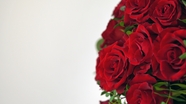 玫瑰花束微距特写摄影图片