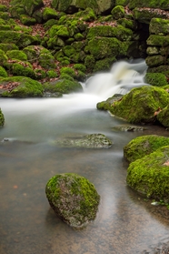 绿色山涧溪流青苔岩石山水摄影图片