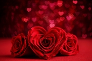 红色爱心散景背景玫瑰花图片