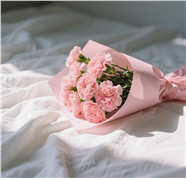 一束粉色康乃馨花束摄影图片