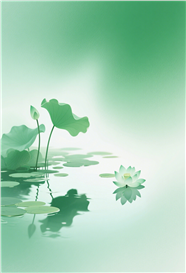 绿色渐变风格荷塘荷花荷叶摄影图片