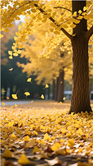 秋天银杏树氛围感摄影图片