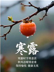 中国传统节气寒露海报设计图片