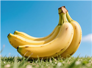 蓝色天空草地黄色香蕉摄影图片