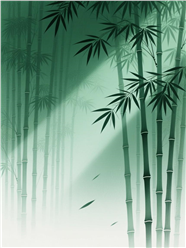 深绿色竹林背景图片素材