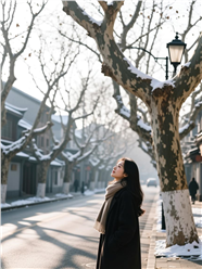 冬季街头枯枝梧桐树下美女图片