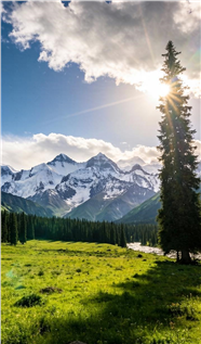 蓝天白云草地树木自然风光美景图片