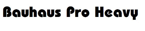 Bauhaus Pro Heavy
