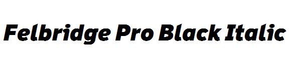 Felbridge Pro Black Italic