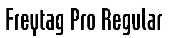 Freytag Pro Regular