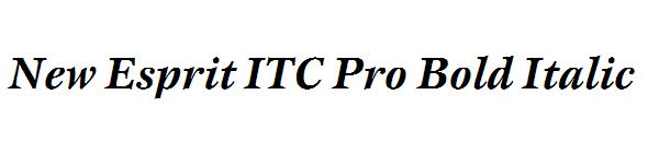 New Esprit ITC Pro Bold Italic