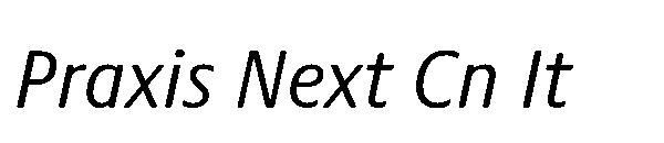 Praxis Next Cn It