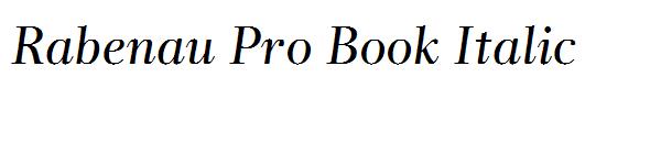 Rabenau Pro Book Italic