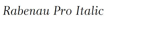 Rabenau Pro Italic