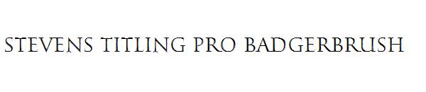 Stevens Titling Pro BadgerBrush