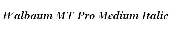 Walbaum MT Pro Medium Italic
