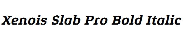 Xenois Slab Pro Bold Italic