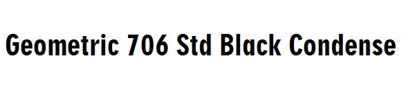 Geometric 706 Std Black Condense