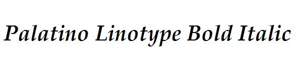 Palatino Linotype Bold Italic