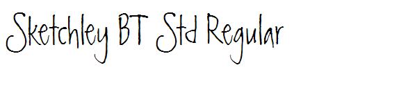 Sketchley BT Std Regular